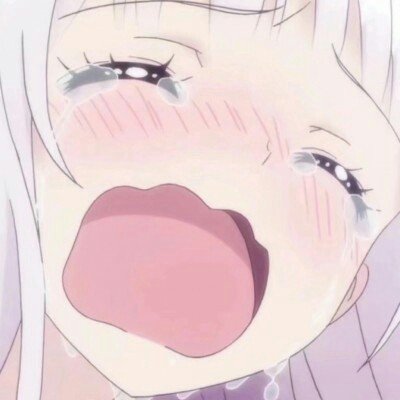 猫的偷窥欲